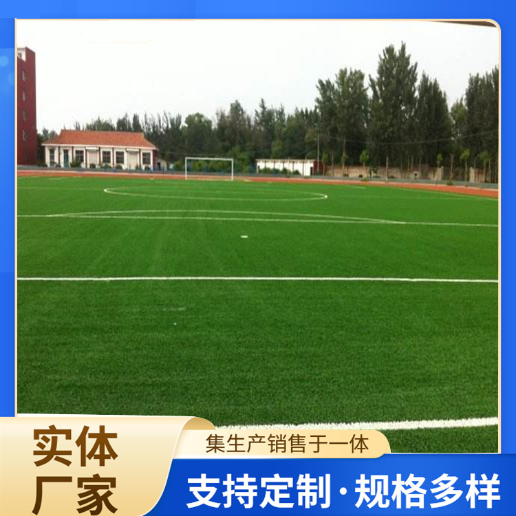 芜湖市EPDM颗粒人造草坪 - 厂家